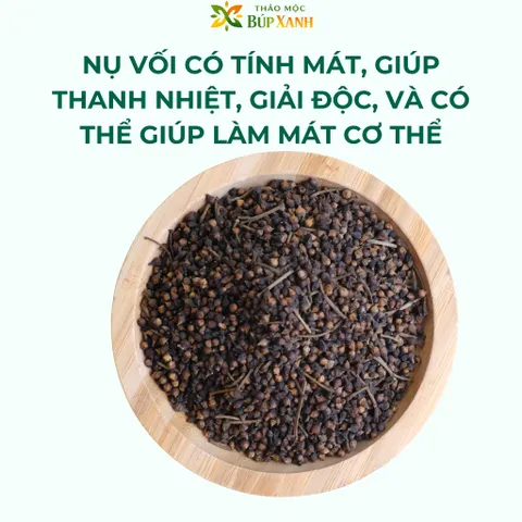 Nụ vối sao thơm 1kg thanh nhiệt, hỗ trợ tiêu hóa, giảm đầy bụng và giúp ổn định đường huyết Thảo Mộc Búp Xanh