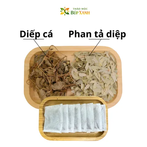 Trà Diếp Cá Phan Tả Diệp Túi Lọc Thảo Mộc Búp Xanh – Hộp 60 Gói Giúp Nhuận Tràng, Hỗ Trợ Táo Bón