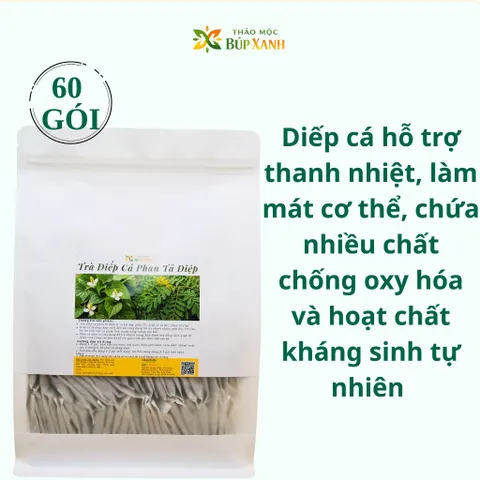 Trà Diếp Cá Phan Tả Diệp Túi Lọc Thảo Mộc Búp Xanh – Hộp 60 Gói Giúp Nhuận Tràng, Hỗ Trợ Táo Bón