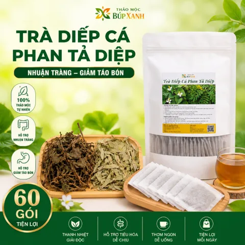 Trà Diếp Cá Phan Tả Diệp Túi Lọc Thảo Mộc Búp Xanh – Hộp 60 Gói Giúp Nhuận Tràng, Hỗ Trợ Táo Bón