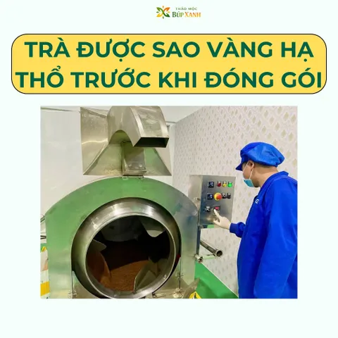 Trà Cà Gai Leo Xạ Đen Giải Độc Gan Túi Lọc Thảo mộc Búp Xanh giúp mát gan thanh nhiệt, giải rượu, hạ men gan