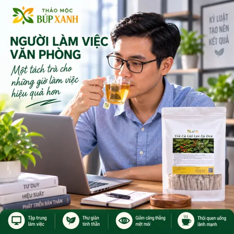 Trà Cà Gai Leo Xạ Đen Giải Độc Gan Túi Lọc Thảo mộc Búp Xanh giúp mát gan thanh nhiệt, giải rượu, hạ men gan