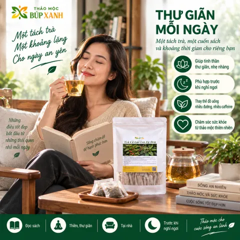 Trà Cà Gai Leo Xạ Đen Giải Độc Gan Túi Lọc Thảo mộc Búp Xanh giúp mát gan thanh nhiệt, giải rượu, hạ men gan