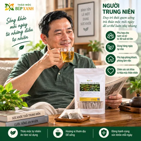 Trà Cà Gai Leo Xạ Đen Giải Độc Gan Túi Lọc Thảo mộc Búp Xanh giúp mát gan thanh nhiệt, giải rượu, hạ men gan