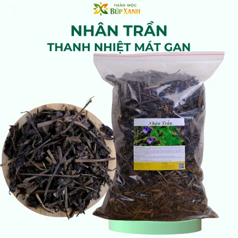 Nhân Trần Khô 1kg thanh nhiệt, mát gan, hỗ trợ giải độc gan và lợi mật Thảo Mộc Búp Xanh