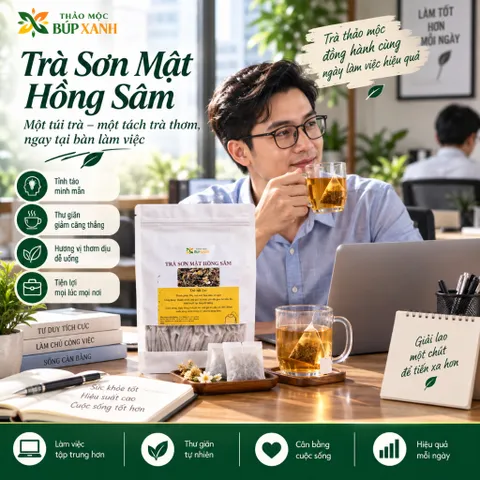 Trà Sơn Mật Hồng Sâm Túi Lọc 60 gói Thảo Mộc Búp Xanh thanh nhiệt, da sáng ngủ ngon, lợi tiểu, tiêu mỡ