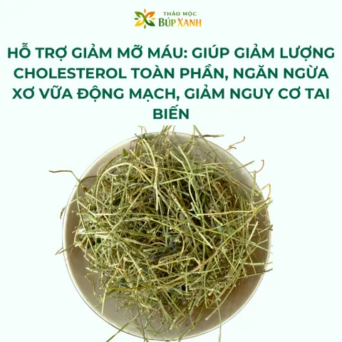Giảo cổ lam 5 lá 1kg dây nhỏ loại 1, hỗ trợ huyết áp, tiểu đường, mỡ máu Thảo mộc Búp Xanh