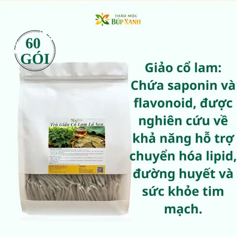 Trà Giảo Cổ Lam Lá Sen Túi Lọc Thảo Mộc Búp Xanh Bịch 60 Gói Ổn Định Huyết Áp, Mỡ Máu