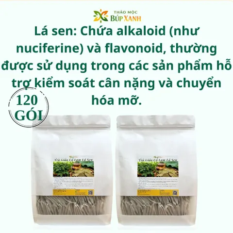 Trà Giảo Cổ Lam Lá Sen Túi Lọc Thảo Mộc Búp Xanh Bịch 60 Gói Ổn Định Huyết Áp, Mỡ Máu