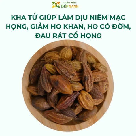 Quả Kha Tử Khô 1kg nguyên quả, kha tử ngậm ho, dùng nấu siro, hỗ trợ giảm đau họng khản tiếng Thảo Mộc Búp Xanh