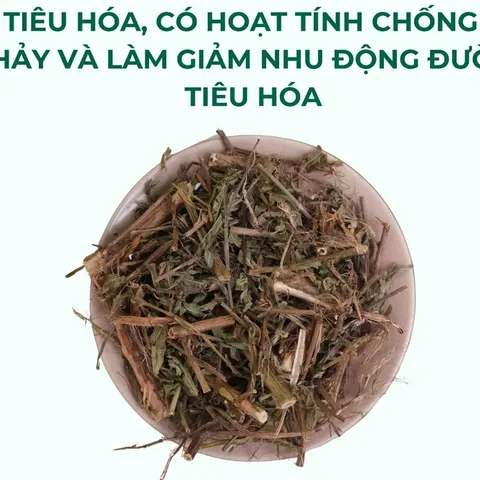 Trà Rau Mương Chữa Dạ Dày 1kg Thảo Mộc Búp Xanh hỗ trợ trào ngược dạ dày, khuẩn hp