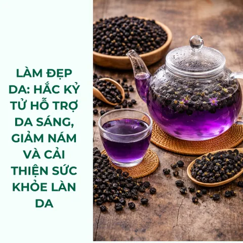 Hắc kỷ tử, kỷ tử đen 200g loại 1 nguyên chất chống oxy hóa cao, pha trà dưỡng nhan Thảo Mộc Búp Xanh