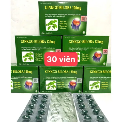 GINKGO biloba 120mg Cải thiện trí nhớ và chứng mất ngủ hoạt huyết dưỡng não, đau đầu chóng mặt, ngủ không ngon vien
