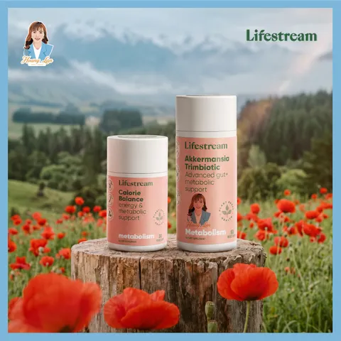 Viên uống hỗ trợ sức khỏe đường ruột và chuyển hóa Lifestream Akkermansia Trimbiotic 60 viên 824896