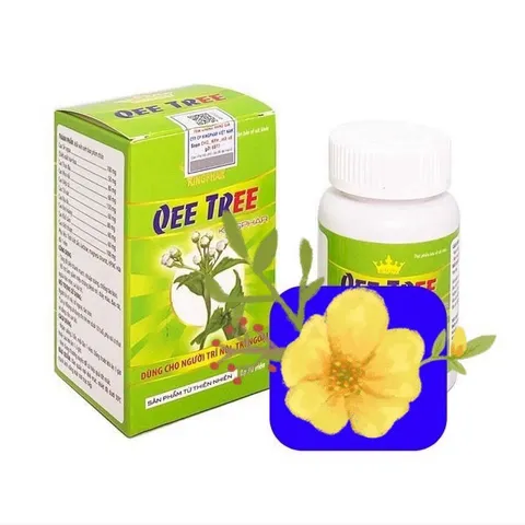 Qee Tree Kingphar hỗ trợ làm giảm cho người bị bệnhh trĩ, tăng sức bền thành mạch il mil tui