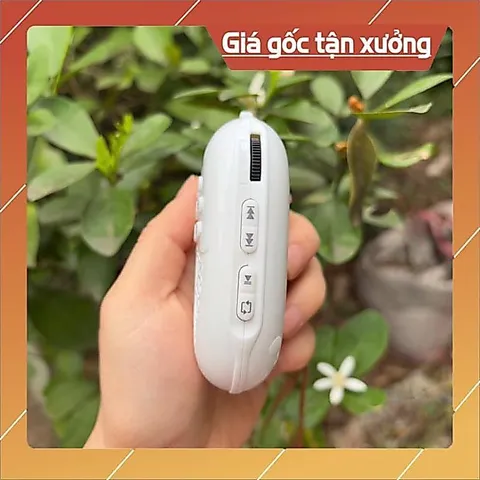 Chỉ Loa bồ đề (chưa có nhạc) Loa đeo cổ