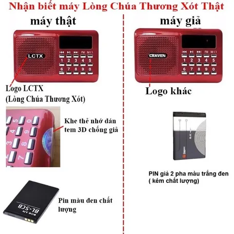 Bộ máy 300 bài giảng về lòng chúa thương xót - thuyết giảng cha trần đình long CÓ HOẢ TỐC HCM