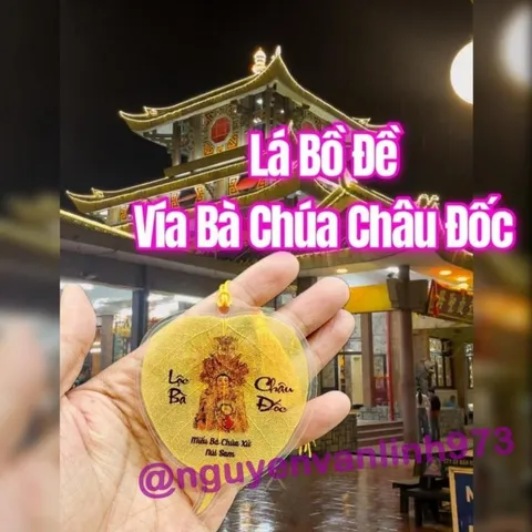 LOẠI 1 - Lá Bồ Đề Bà Chúa Xứ (Cầu làm ăn Tài Lộc) - Lá Thật Nguyên Bản