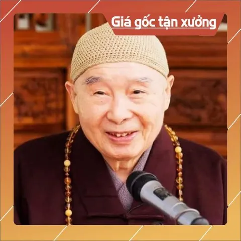 Thẻ Nhớ 8G Chép Sẵn hơn 1000 Bài Pháp Hòa Thượng Tịnh Không - Pháp Thoại, Vấn Đáp Phật Giáo