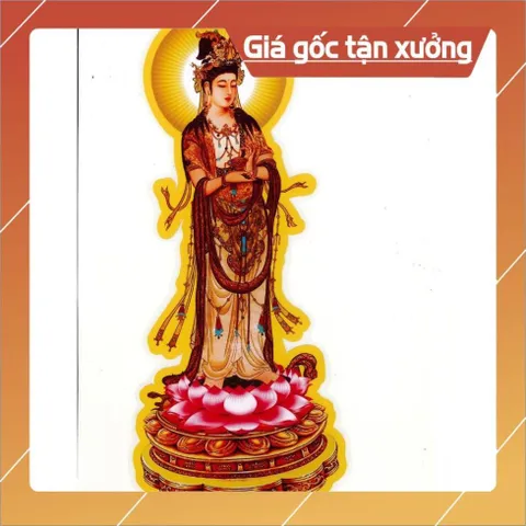 BỘ TRANH ĐÀN ĐỘ ÂM 17 BỨC CAO 40CM ĐÃ ÉP PLATICS