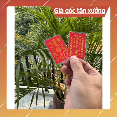 COMBO 100 THẺ GIẢI THÁI TUẾ ĐỎ ÉP PLASTIC , TIỆN ĐỂ TRONG BÓP VÍ