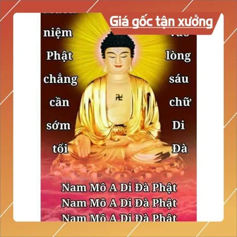 Thẻ 8G Chép Sẵn 617 Bài Tổng Hợp Pháp Môn Niệm Phật - Kinh Thiện Ác Nhân Quả, Trợ Niệm Khi Lâm Chung