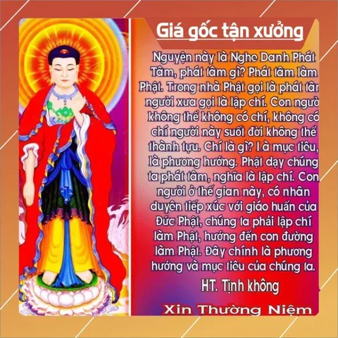 Thẻ 8G Chép Sẵn 617 Bài Tổng Hợp Pháp Môn Niệm Phật - Kinh Thiện Ác Nhân Quả, Trợ Niệm Khi Lâm Chung