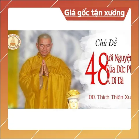 Thẻ 8G Chép Sẵn 201 Bài Pháp Thoại, Vấn Đáp Phật Giáo Thầy Thích Thiện Xuân - Giảng Pháp Môn Tịnh Độ