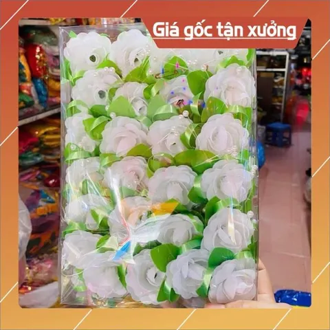 HOA CÀI ÁO VU LAN - SỰ KIỆN - Hộp 50 Bông có hoả tốc