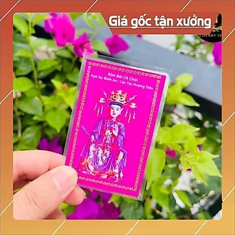 100 cái Kim Bài Cô Chín - 