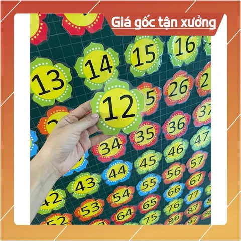 Bộ hoa số 1-100 kèm dấu (ép plastic gắn sẵn nam châm) in thủ công, màu đẹp
