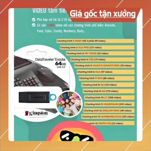 Usb học tiếng anh cho bé 64gb có hoả tốc