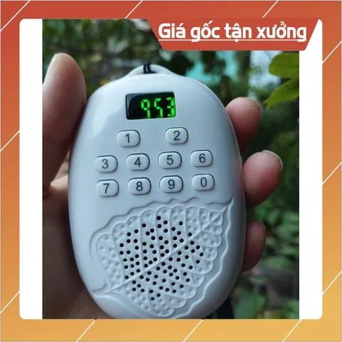 Loa Bồ Đề Loa Tắm Ngôn Ngữ Tiếng Anh Cho Bé