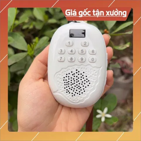 Combo loa lá bồ đề  kèm thẻ nhớ 8gb ,Danh sách bài hát tắm ngôn ngữ Tiếng anh,Tiếng Viêt cao cấp