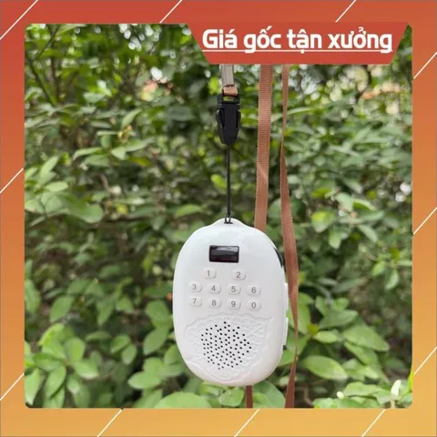 Combo loa lá bồ đề  kèm thẻ nhớ 8gb ,Danh sách bài hát tắm ngôn ngữ Tiếng anh,Tiếng Viêt cao cấp