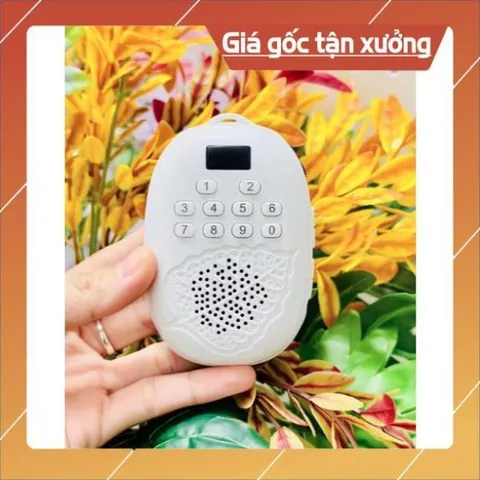 Loa lá bồ đề kèm thẻ 8gb - 16gb Nghe tắm ngôn ngữ, Nghe Tiếng Anh