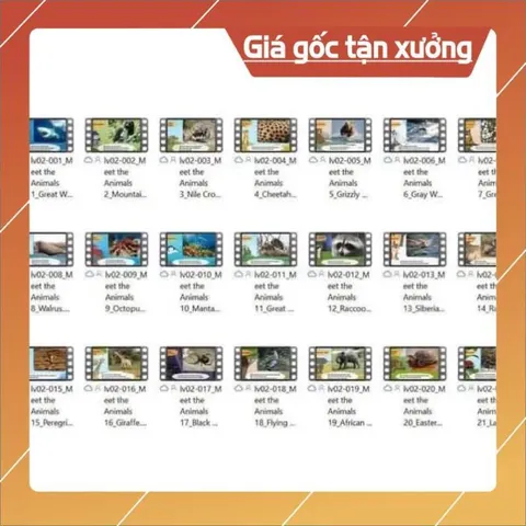 USB 128GB TRỌN BỘ 9 LEVEL LITTLE FOX CHO BÉ MỚI BẮT ĐẦU HỌC TIẾNG ANH có hoả tốc