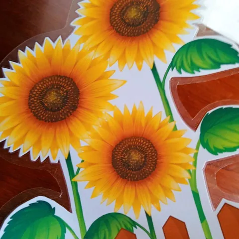Tờ Hoa trang trí chân bảng lớp học nhiều mẫu size 30x40cm ép plastic (có sẵn băng dính dán tường )