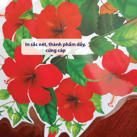 Tờ Hoa trang trí chân bảng lớp học nhiều mẫu size 30x40cm ép plastic (có sẵn băng dính dán tường )