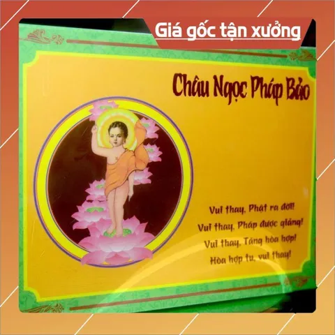 Hộp Châu Ngọc Pháp Bảo-365 Câu Pháp Cú rất hay tn120