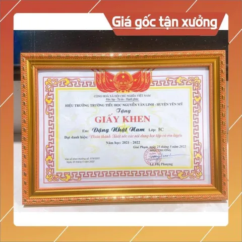 Combo 10 chiếc khung 21x30 khung 329 trám vàng lọt lòng