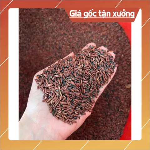 BỘT HẠT SEN- GẠO LỨT-MÈ ĐEN N.GUYÊN CHẤT(1kg/2 hộp)