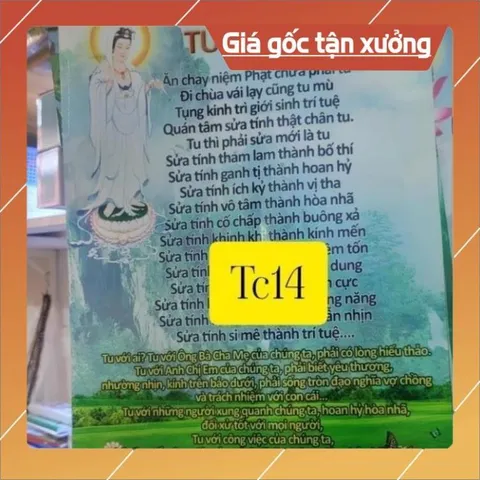 XÃ HÀNG MẪU TRANH CUỘN NHẨU NHIÊN  40cm x 60cm - GIAO NGẪU NHIÊN MẪU