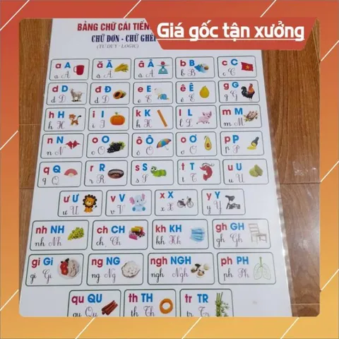 Tờ giấy Bảng chữ cái logic khổ a3, a4 ép plastic