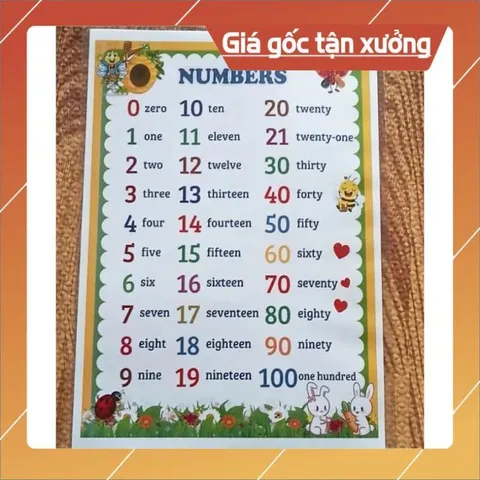 Combo 3 Bảng KHỔ A3 30CM X 40CM Học Tiếng Anh: Số, Chữ Cái, Phiên Âm IPA – A4 Ép Plastic, Màu Sắc Sinh Động