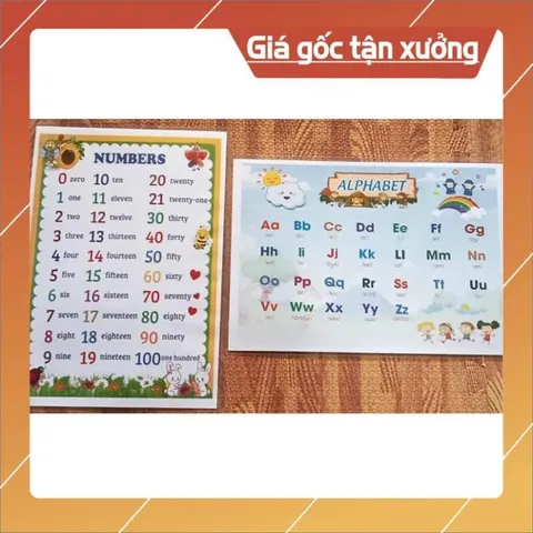 Combo 3 Bảng KHỔ A3 30CM X 40CM Học Tiếng Anh: Số, Chữ Cái, Phiên Âm IPA – A4 Ép Plastic, Màu Sắc Sinh Động