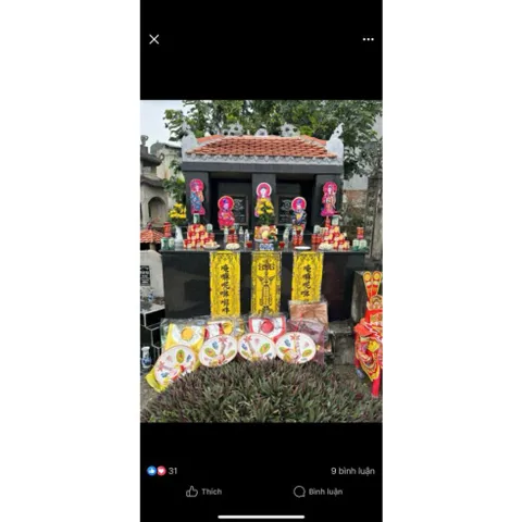 COMBO 16 BỨC TRANH BÀY ĐÀN CÚNG  ÉP PLATIC  CAO 40CM