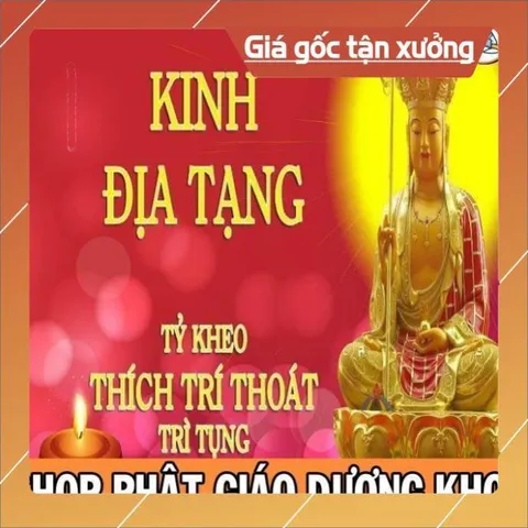 Thẻ Nhớ 128MB Chép Sẵn Trọn Bộ Kinh Địa Tạng, Niệm 6 Câu Nam Mô A Di Đà Phật - Hòa Thượng Thích Trí Thoát Tụng HOẢ TỐC