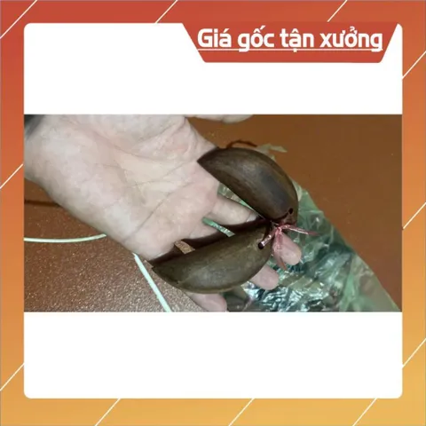 Keo âm dương xin quẻ bằng gỗ căm xe TẶNG SÁCH XEM XĂM
