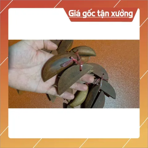 Keo âm dương xin quẻ bằng gỗ căm xe TẶNG SÁCH XEM XĂM